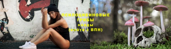 тгк Арсеньев