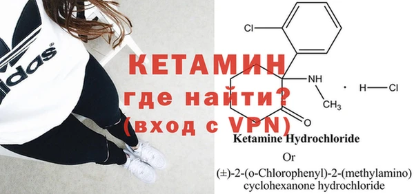шишки Аркадак