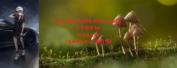 тгк Арсеньев