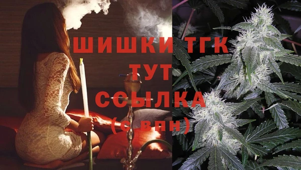 тгк Арсеньев