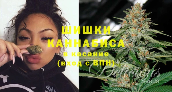 шишки Аркадак