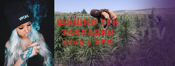 шишки Аркадак