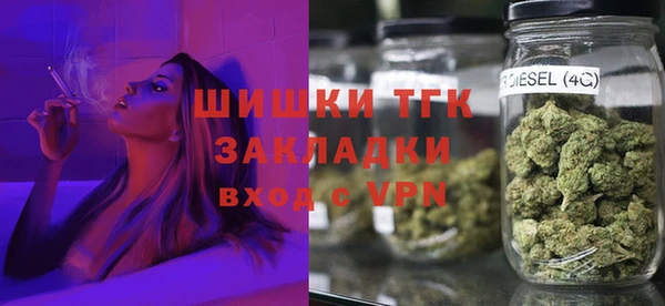 шишки Аркадак