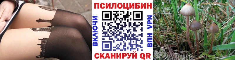 Галлюциногенные грибы MAGIC MUSHROOMS Тавда